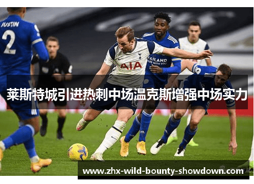 莱斯特城引进热刺中场温克斯增强中场实力