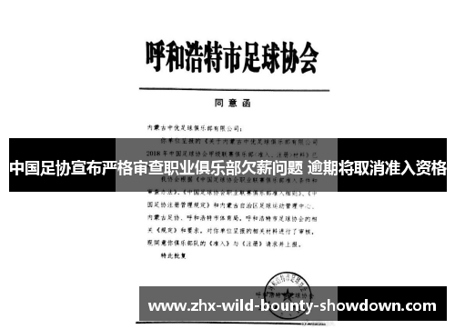 中国足协宣布严格审查职业俱乐部欠薪问题 逾期将取消准入资格